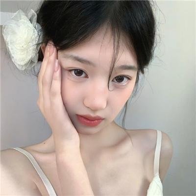 礼貌社会